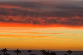 Vinaros Coquet appartement vue mer